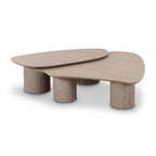 Rhema 2-Piece Washed Ash Nesting Coffee Table Set