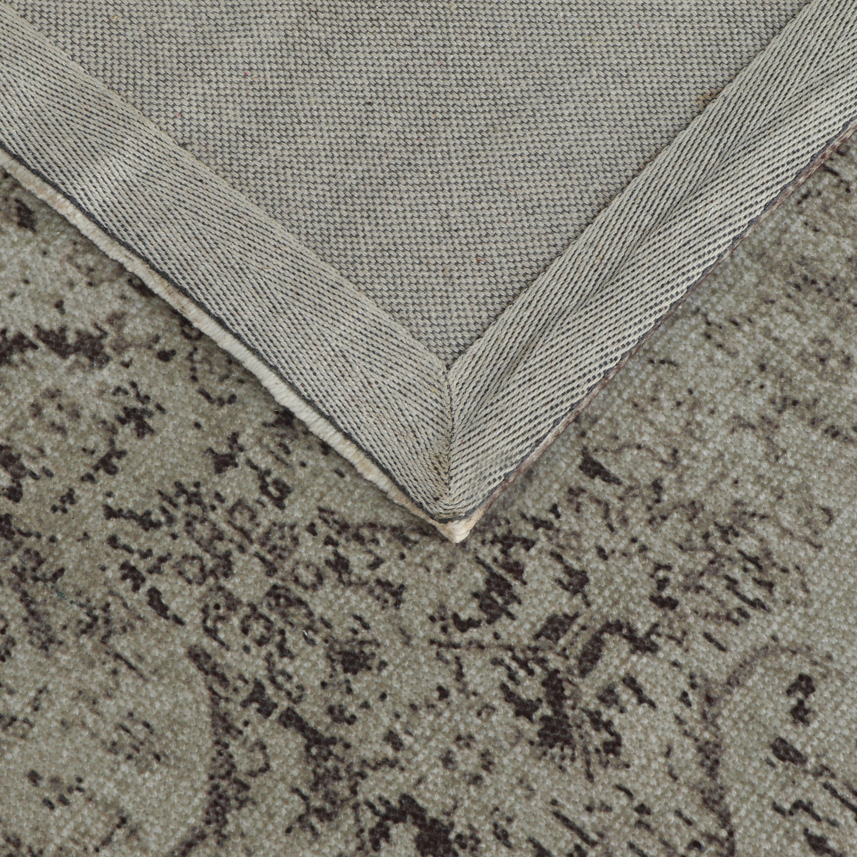 Bluma Area Rug