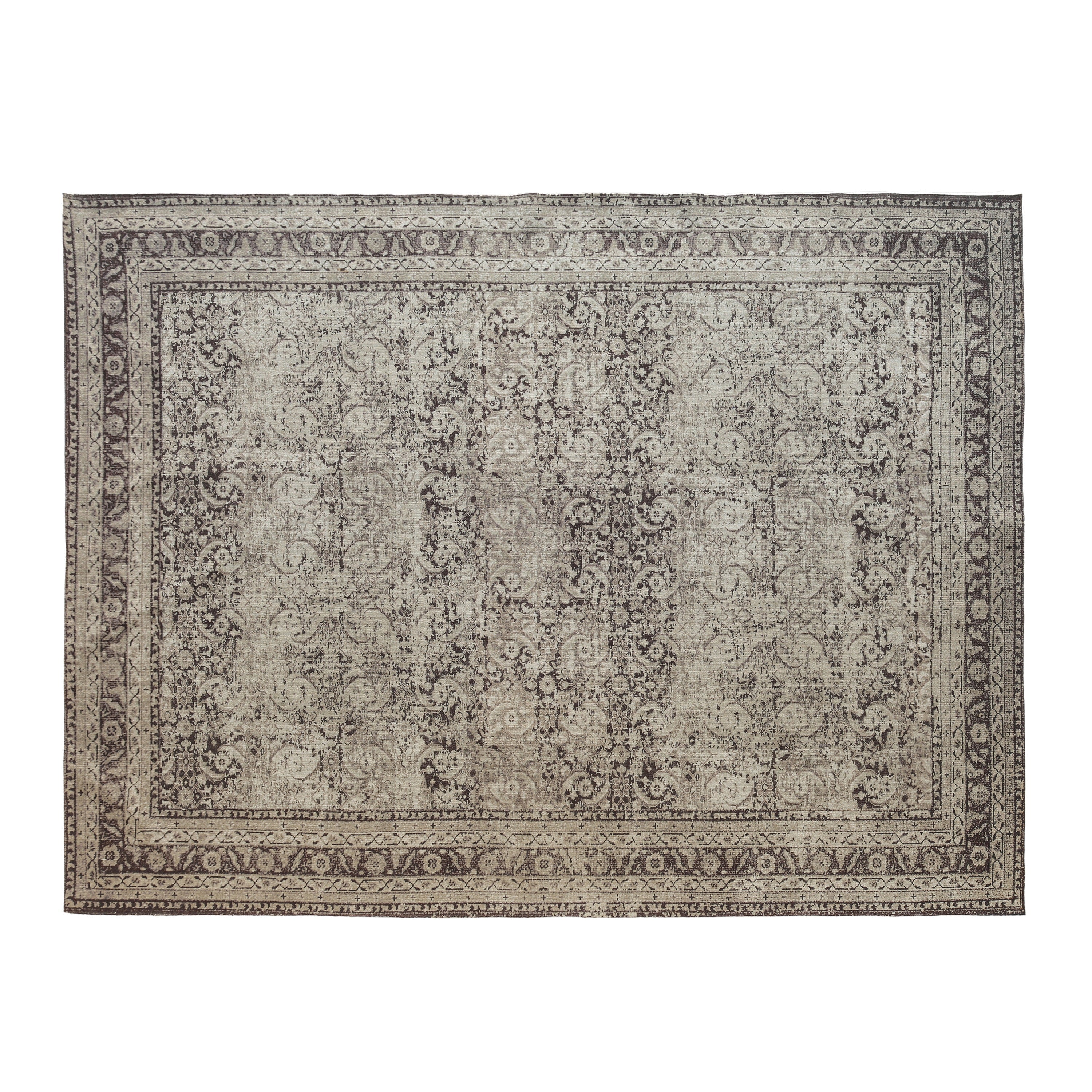 Bluma Area Rug