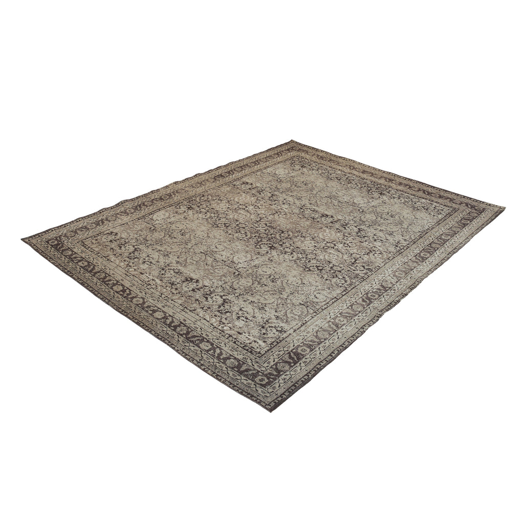 Bluma Area Rug