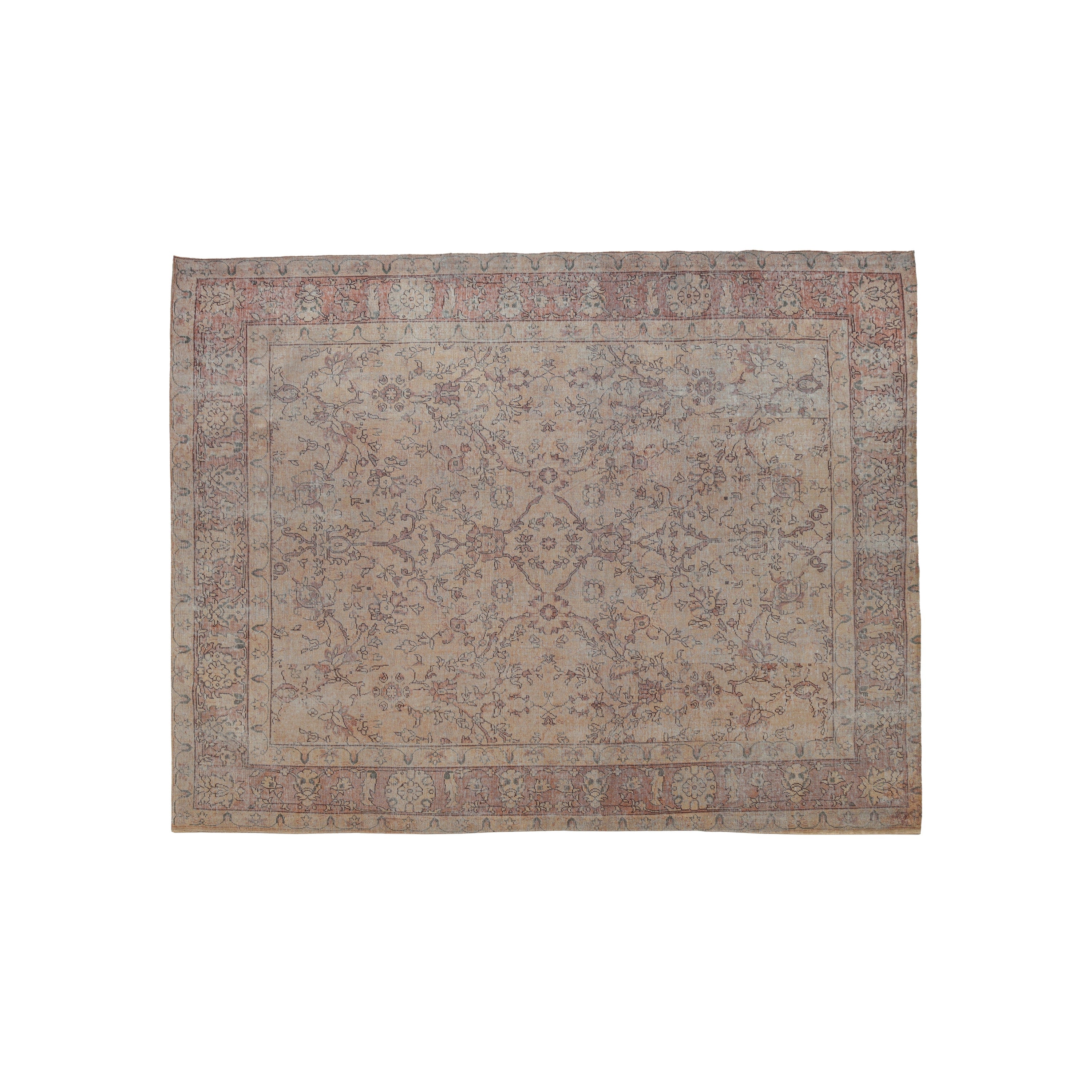 Eden Area Rug
