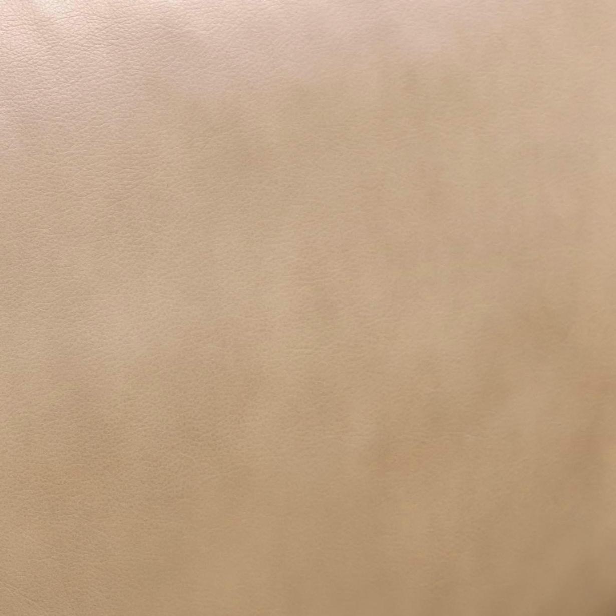 Chakka Genuine Leather Accent Chair