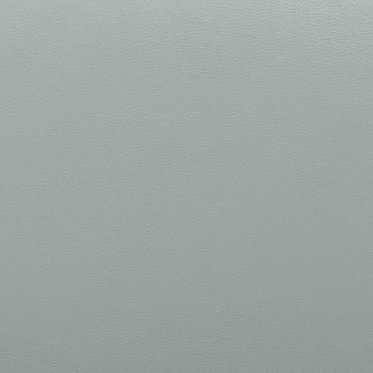 Chakka Genuine Leather Accent Chair